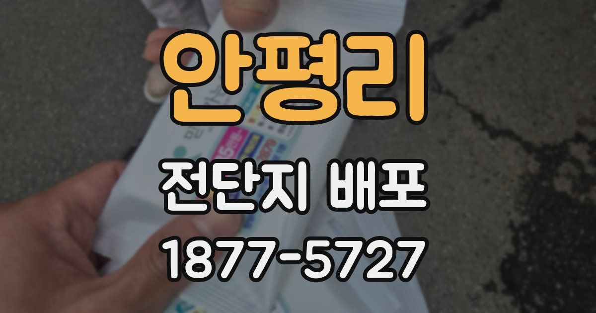 안평리 전단지 배포