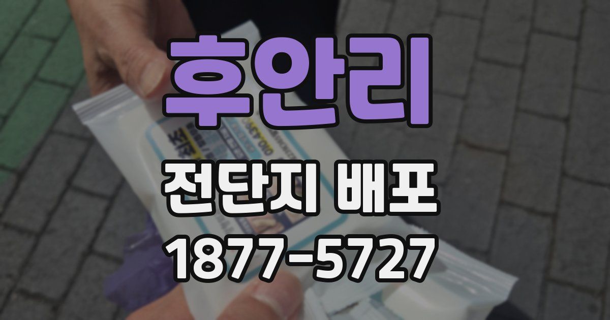 후안리 전단지 배포
