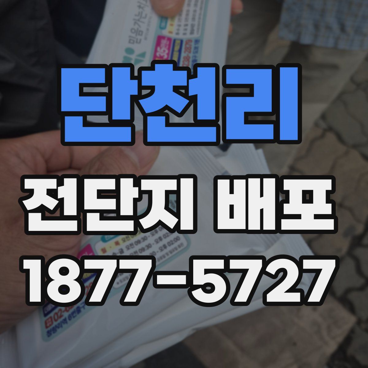 단천리 전단지 배포