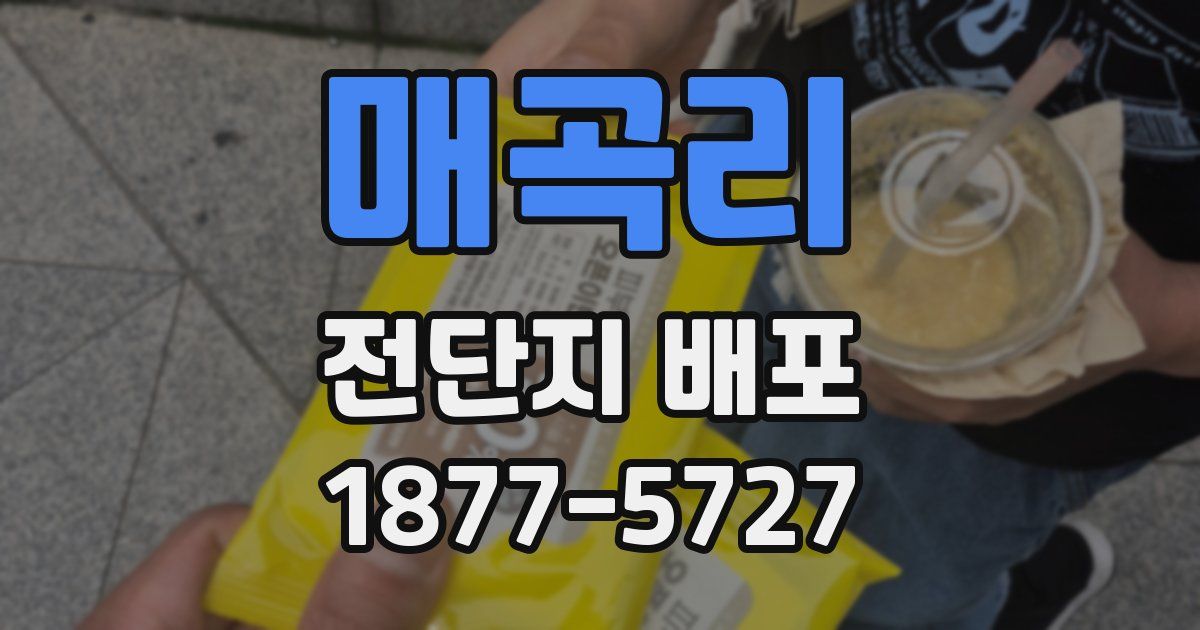 매곡리 전단지 배포