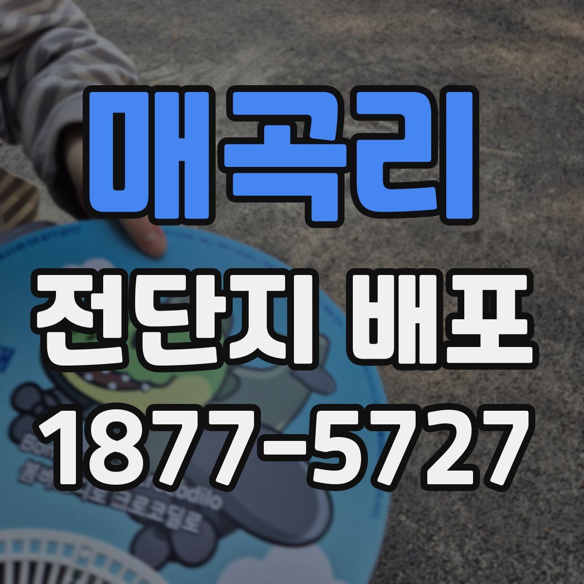 매곡리 전단지 배포