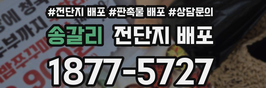 송갈리 전단지 배포