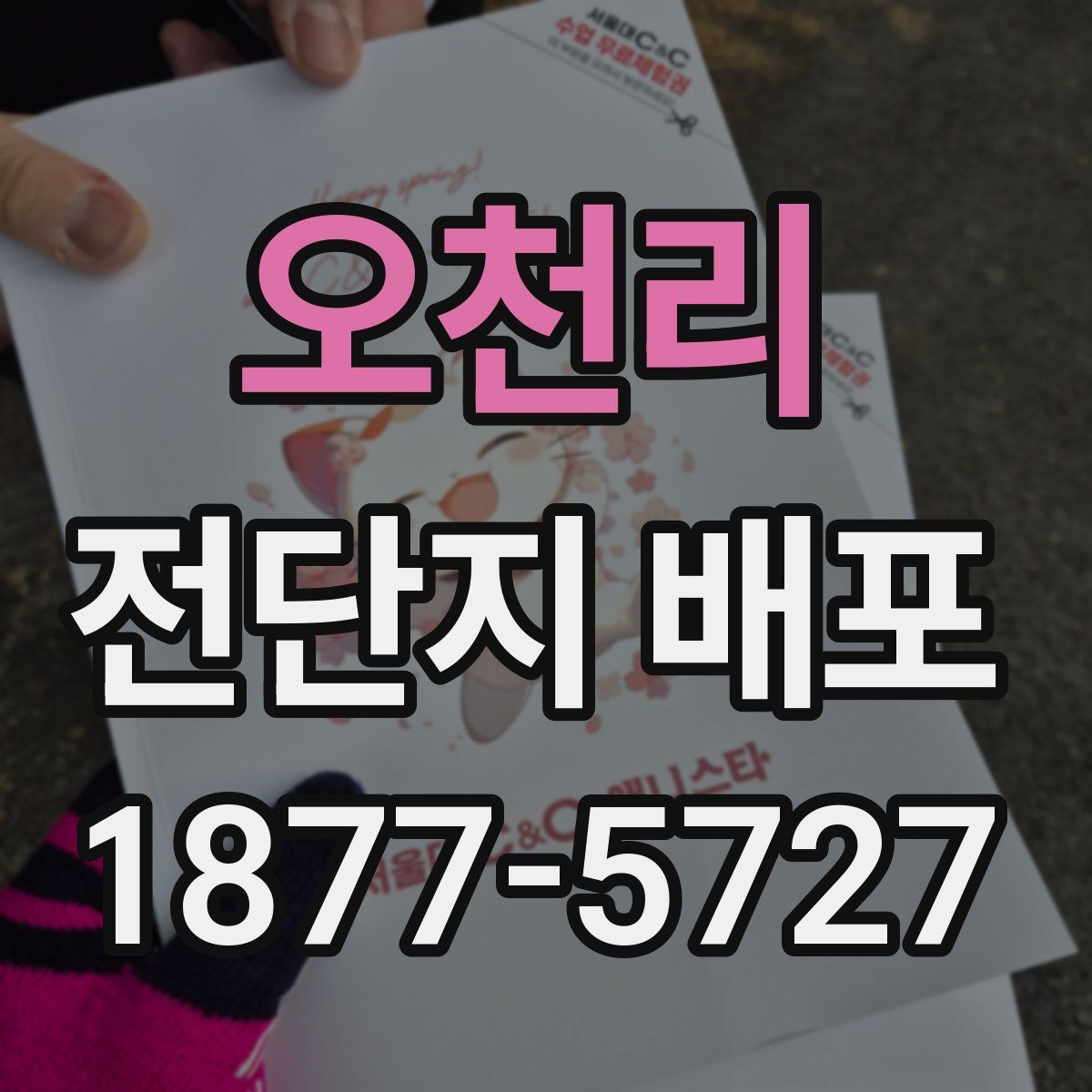 오천리 전단지 배포