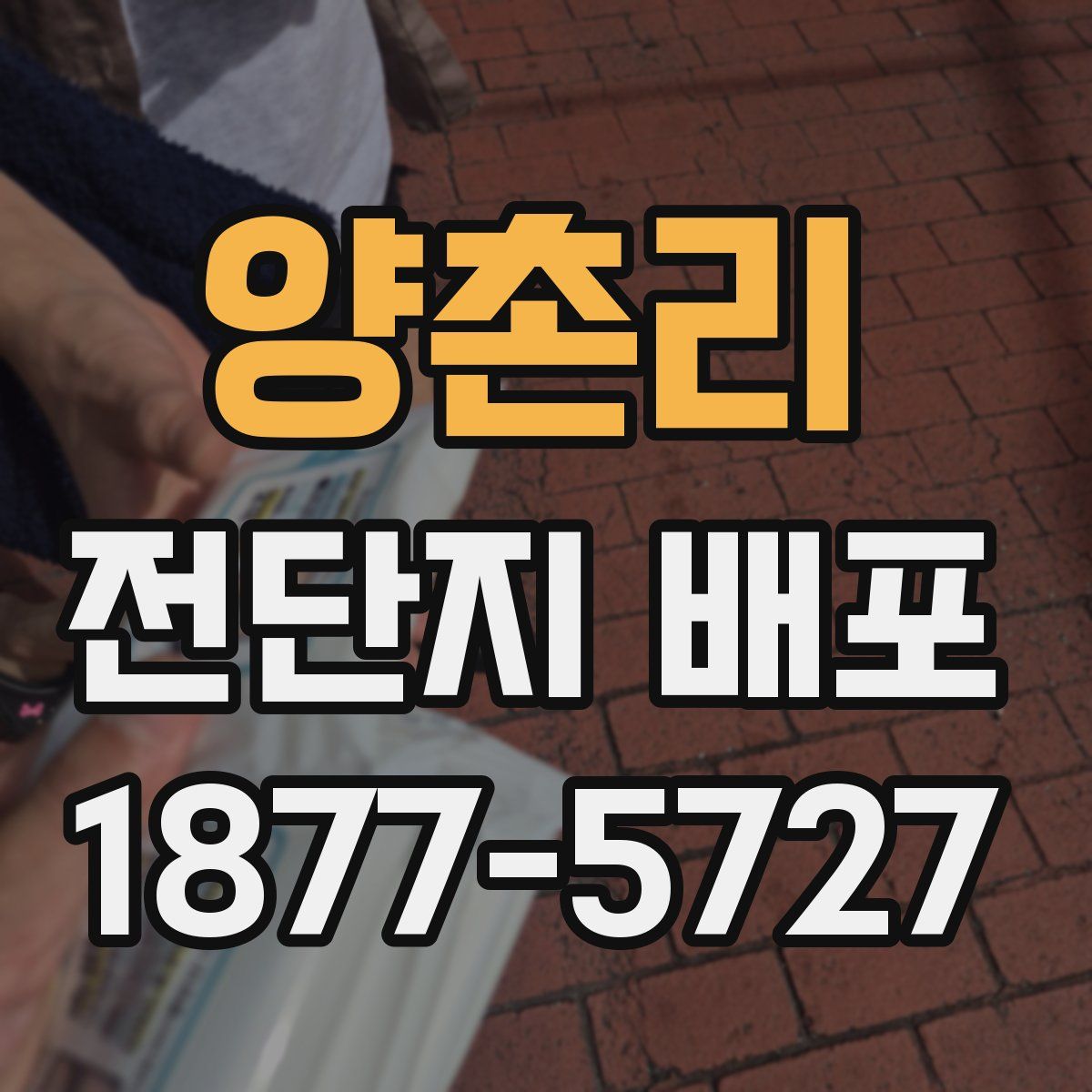 양촌리 전단지 배포