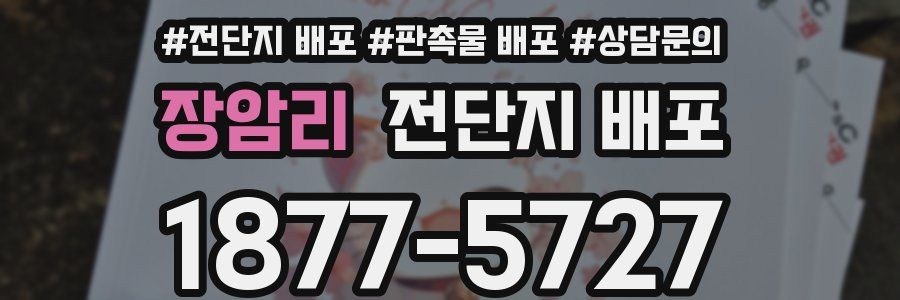 장암리 전단지 배포