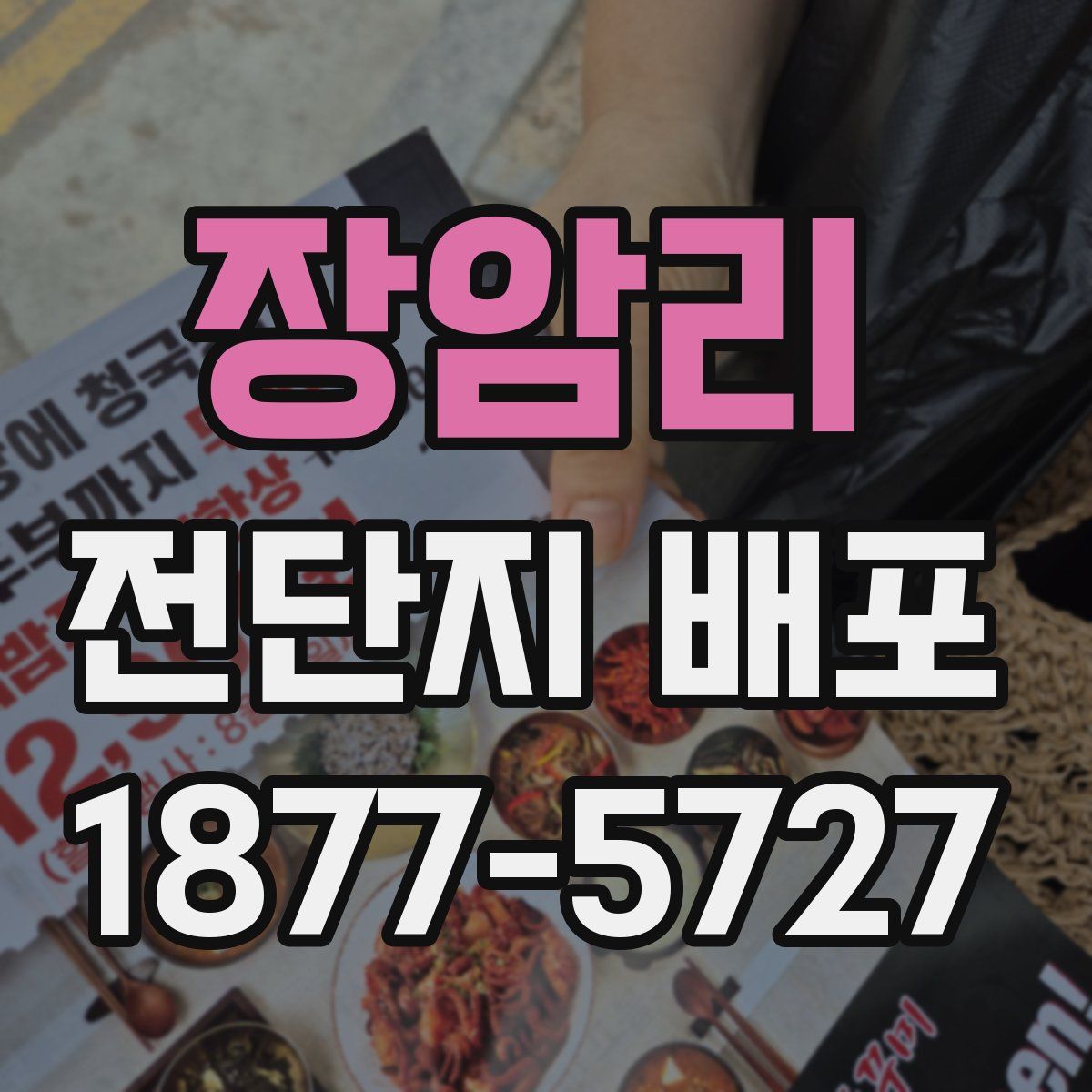 장암리 전단지 배포
