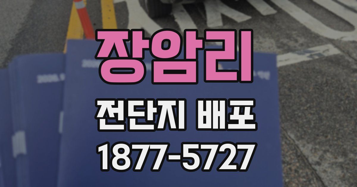 장암리 전단지 배포