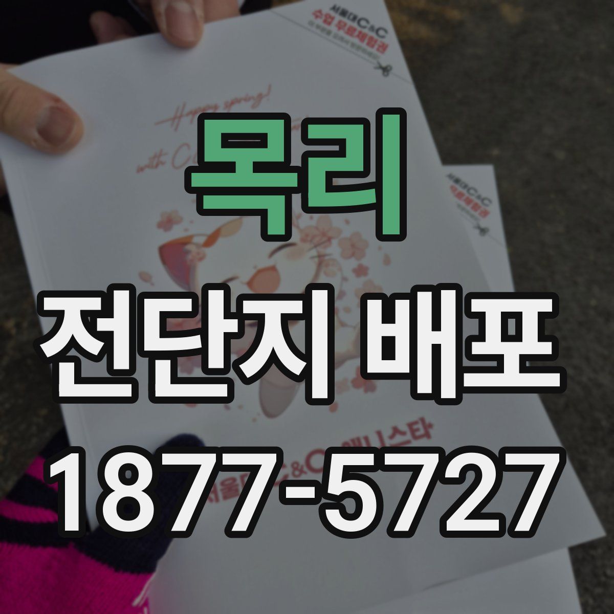 목리 전단지 배포