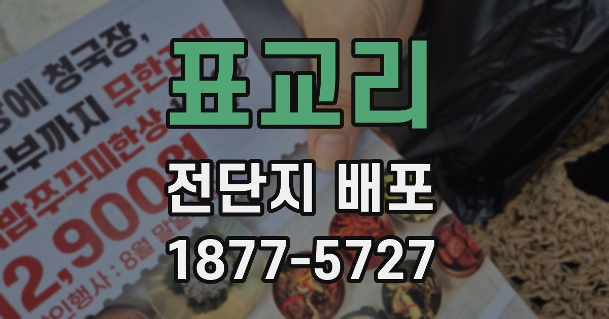 표교리 전단지 배포