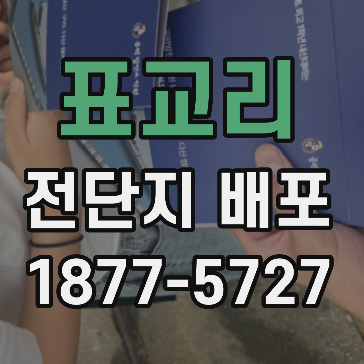 표교리 전단지 배포