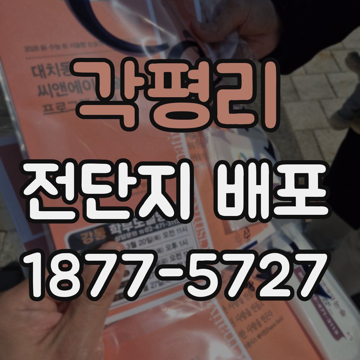 각평리 전단지 배포