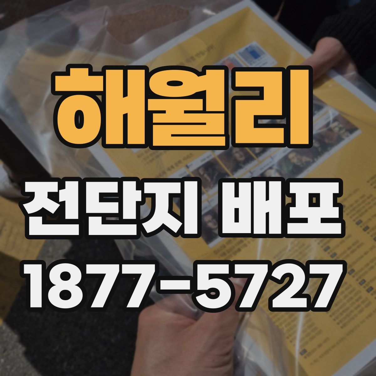 해월리 전단지 배포