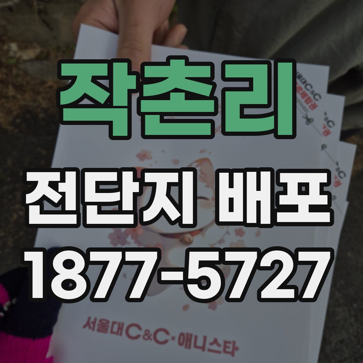 작촌리 전단지 배포