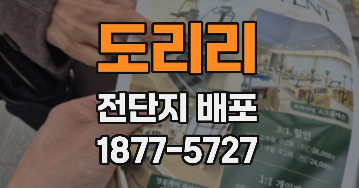 도리리 전단지 배포