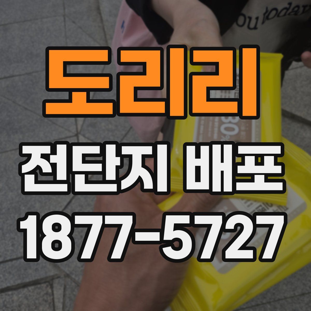 도리리 전단지 배포