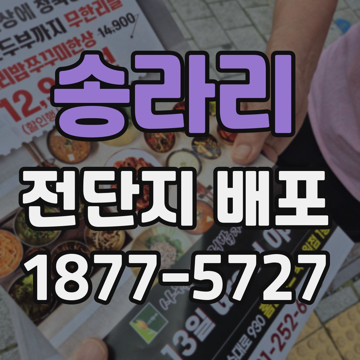 송라리 전단지 배포