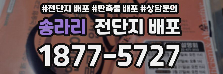 송라리 전단지 배포