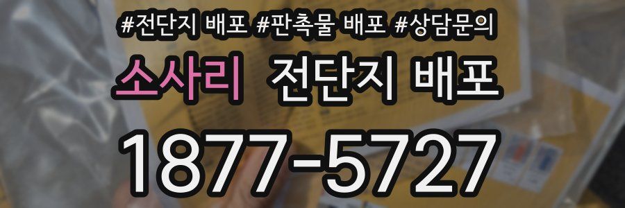 소사리 전단지 배포