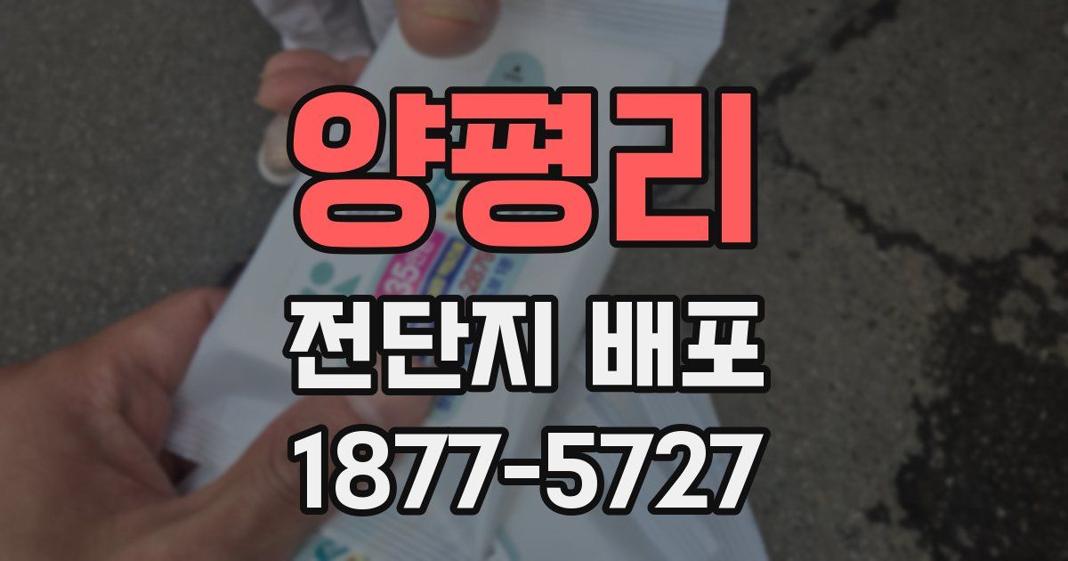 양평리 전단지 배포