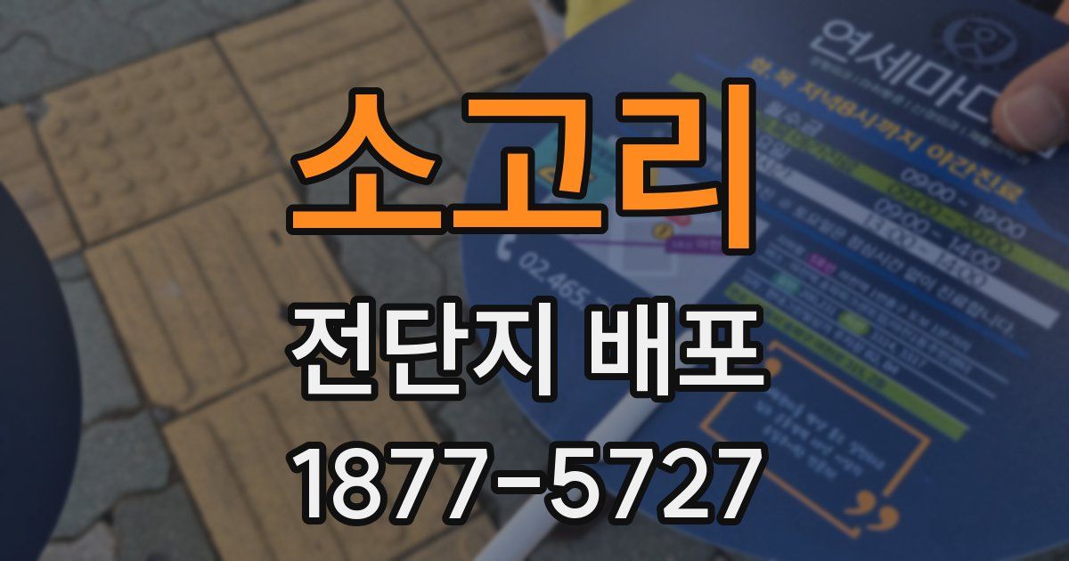 소고리 전단지 배포