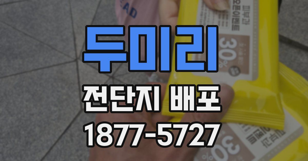 두미리 전단지 배포