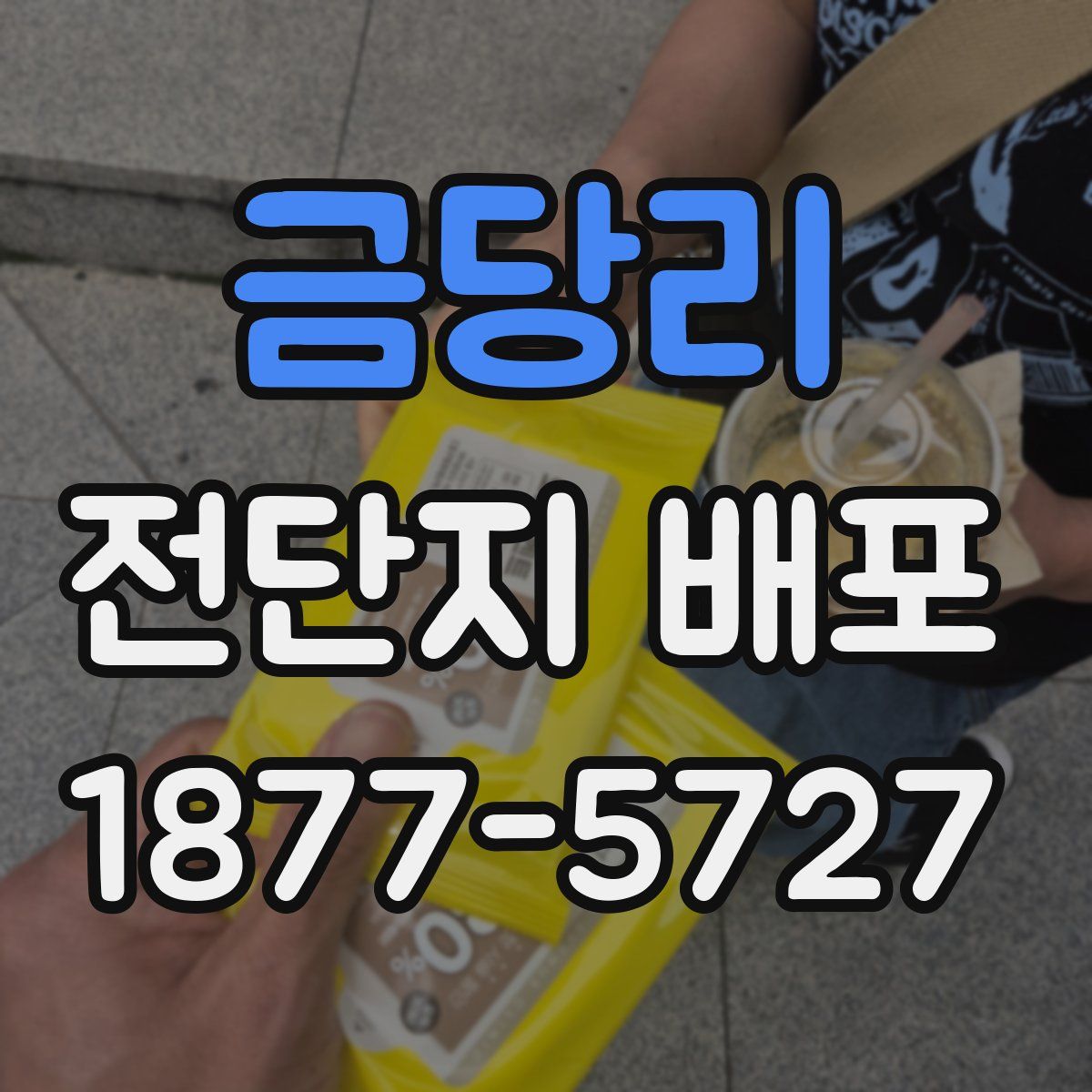 금당리 전단지 배포