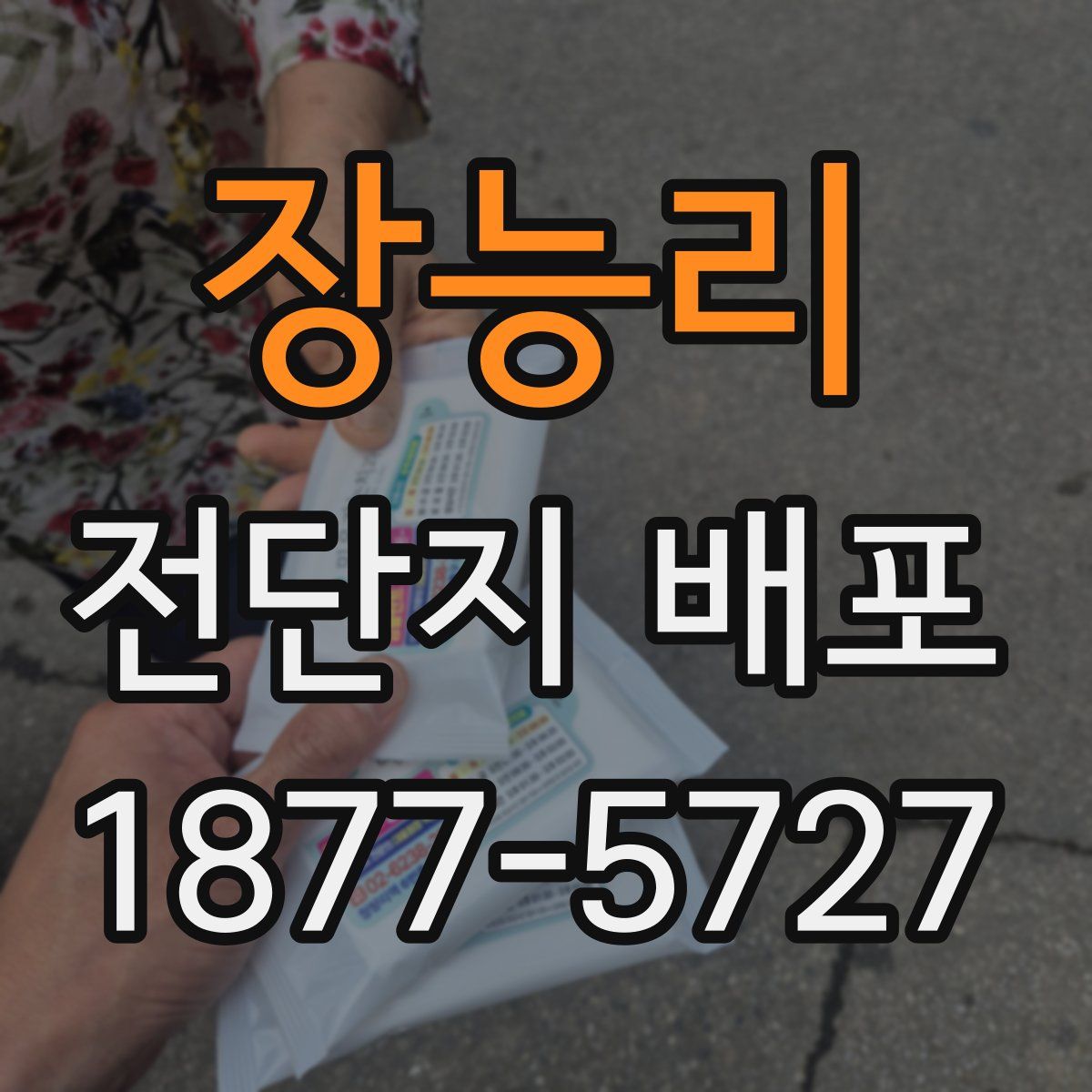 장능리 전단지 배포