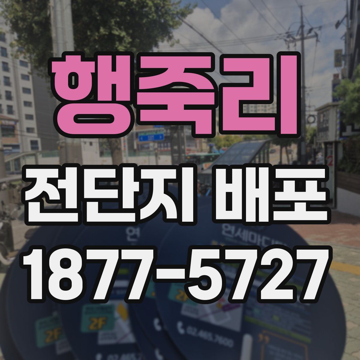 행죽리 전단지 배포