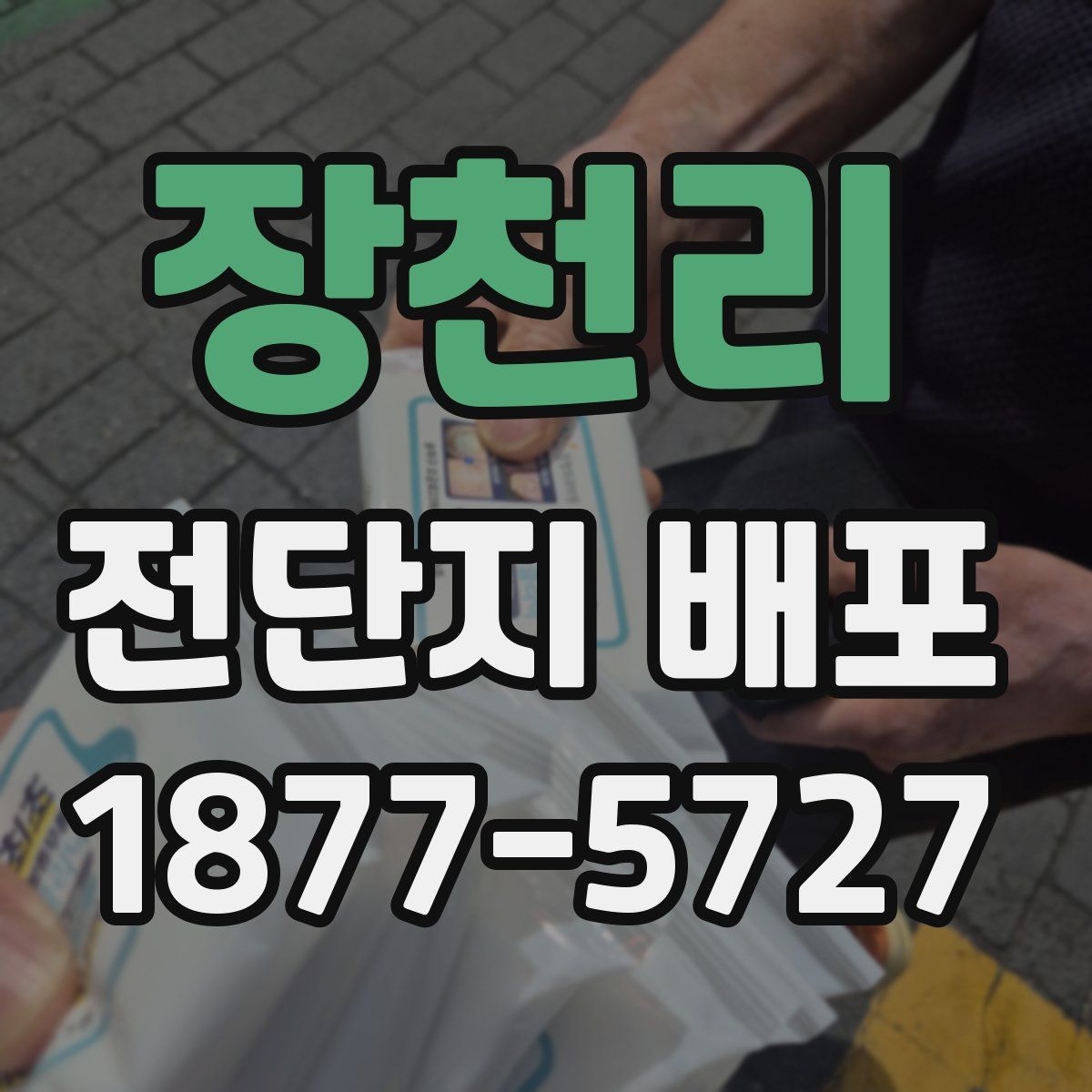 장천리 전단지 배포