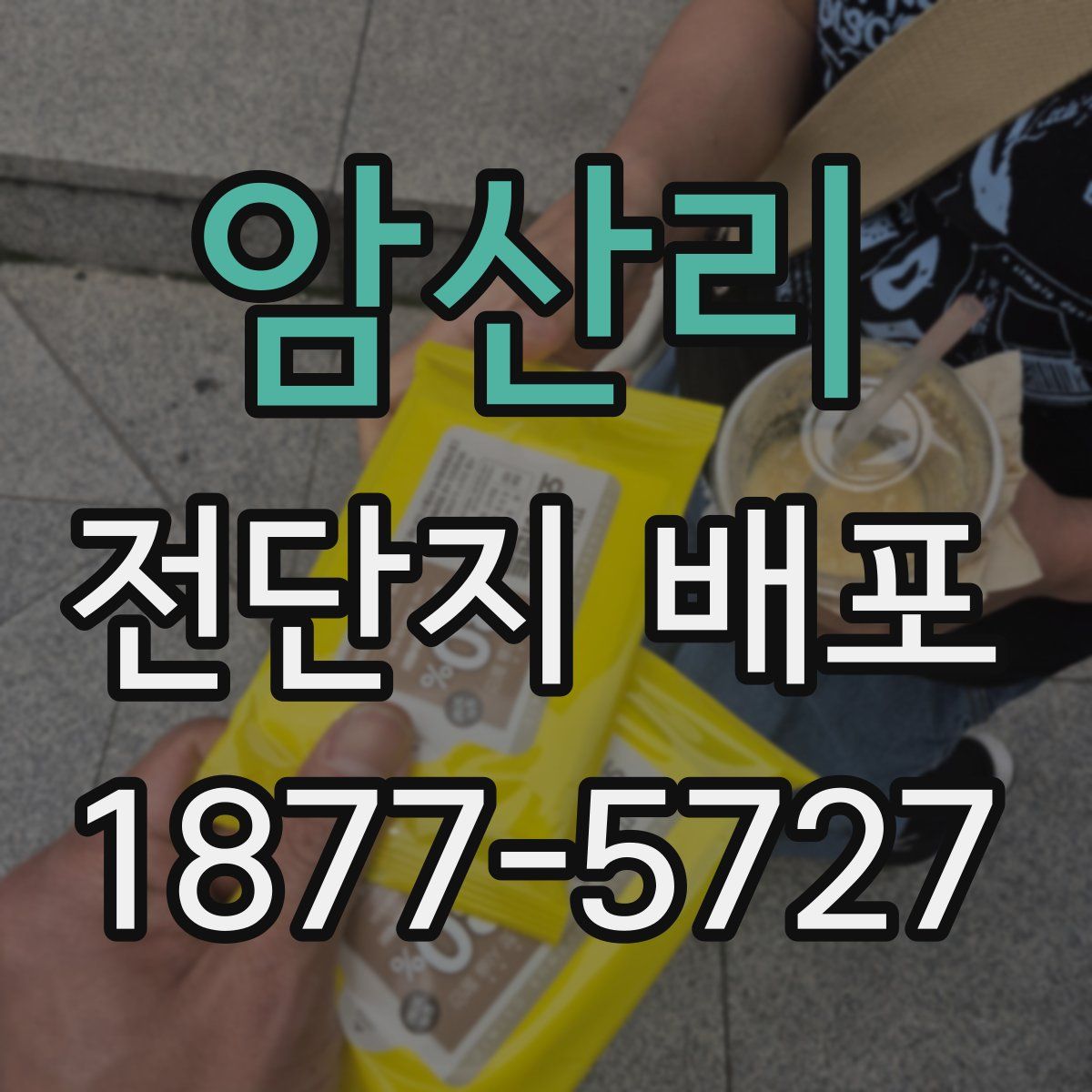 암산리 전단지 배포