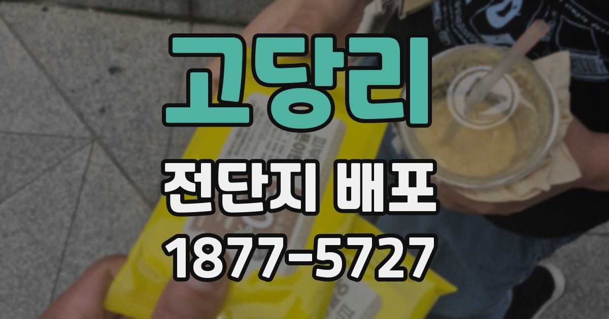 고당리 전단지 배포