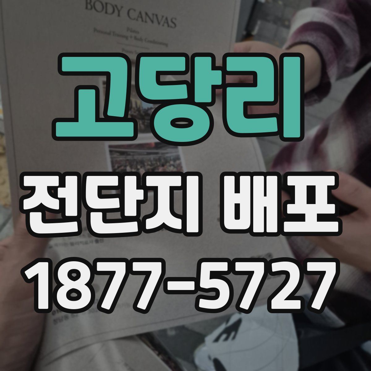 고당리 전단지 배포