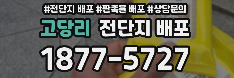 고당리 전단지 배포