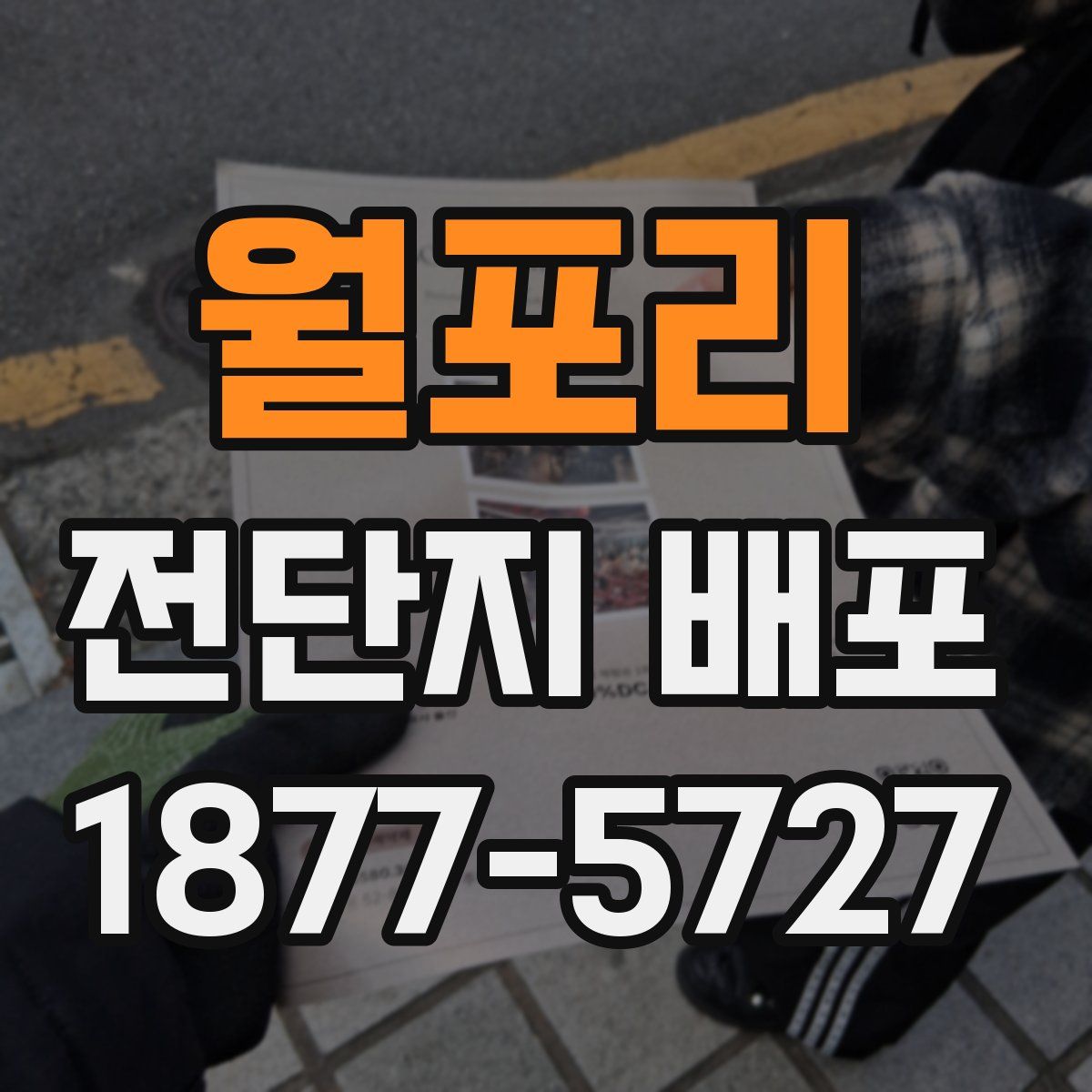 월포리 전단지 배포
