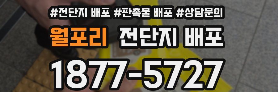 월포리 전단지 배포