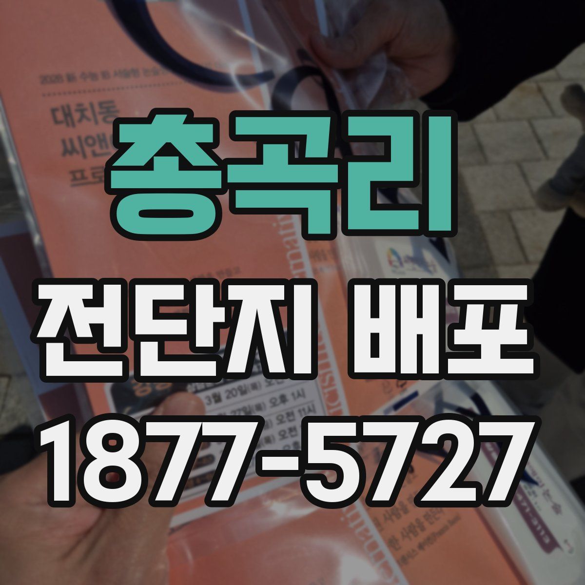 총곡리 전단지 배포