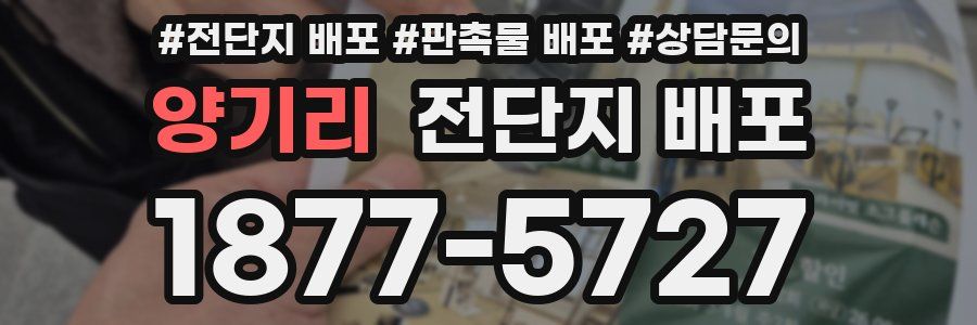 양기리 전단지 배포
