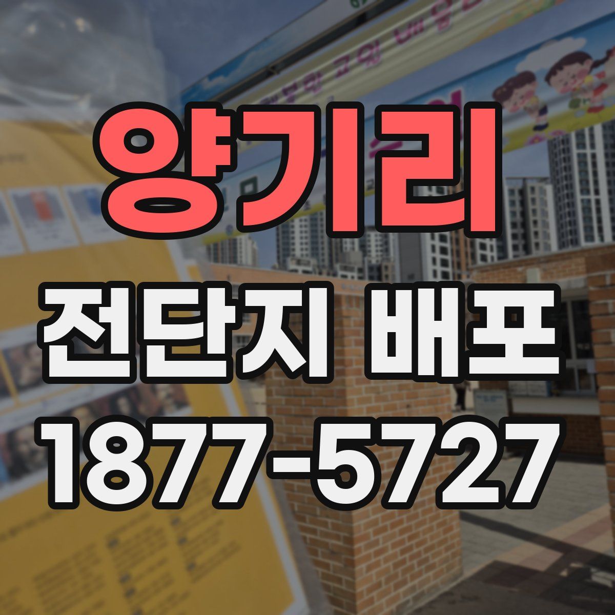 양기리 전단지 배포