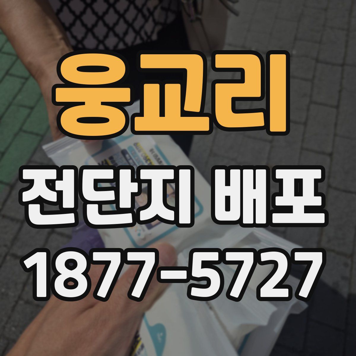 웅교리 전단지 배포
