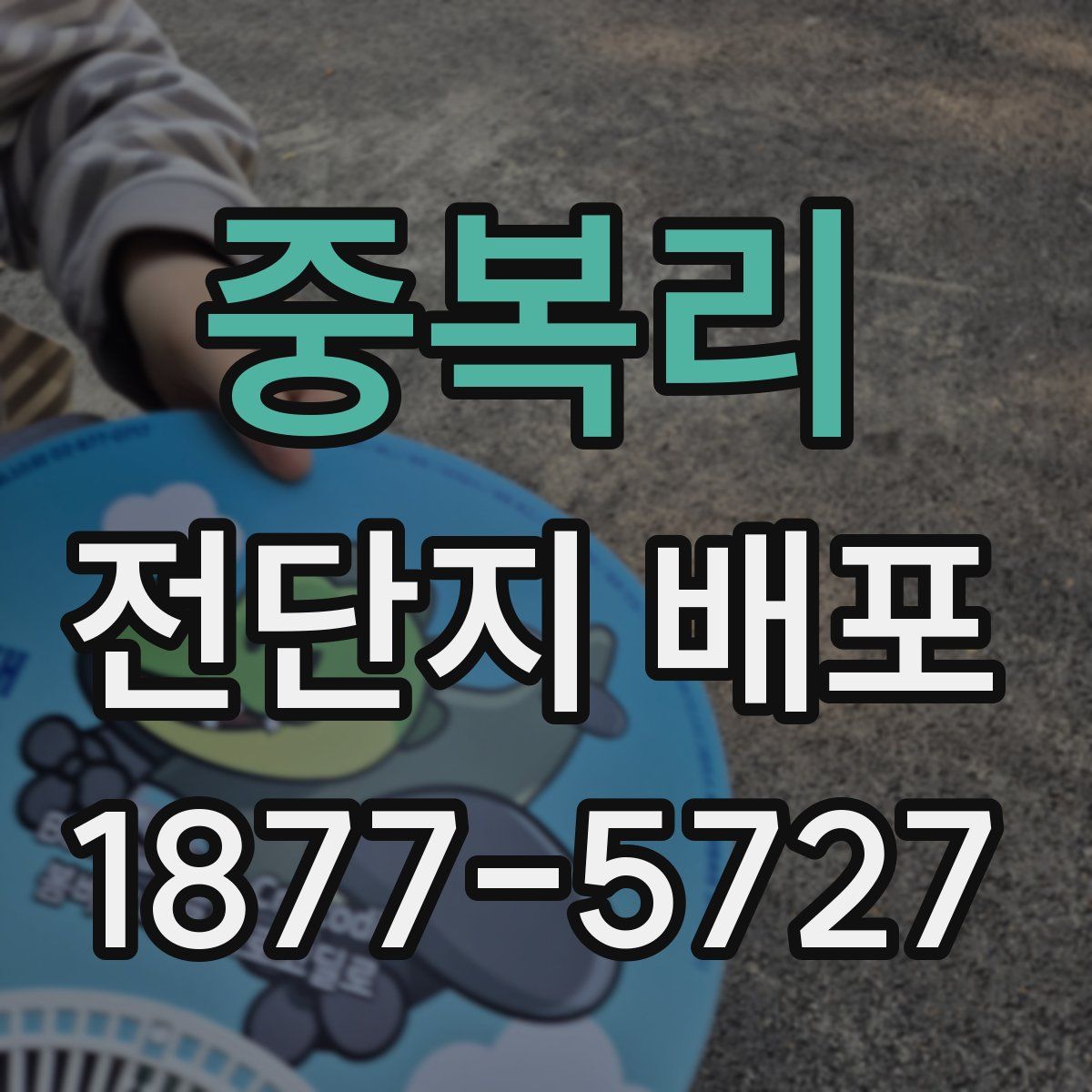 중복리 전단지 배포