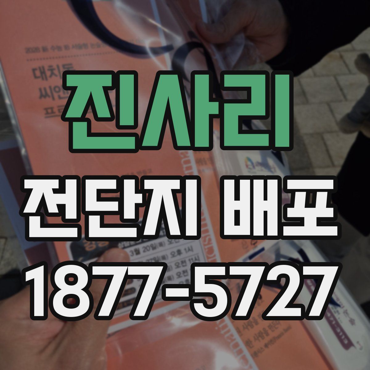 진사리 전단지 배포
