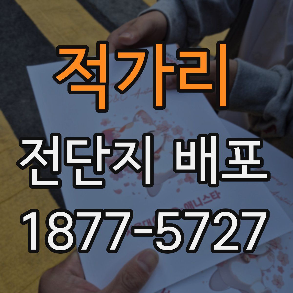적가리 전단지 배포