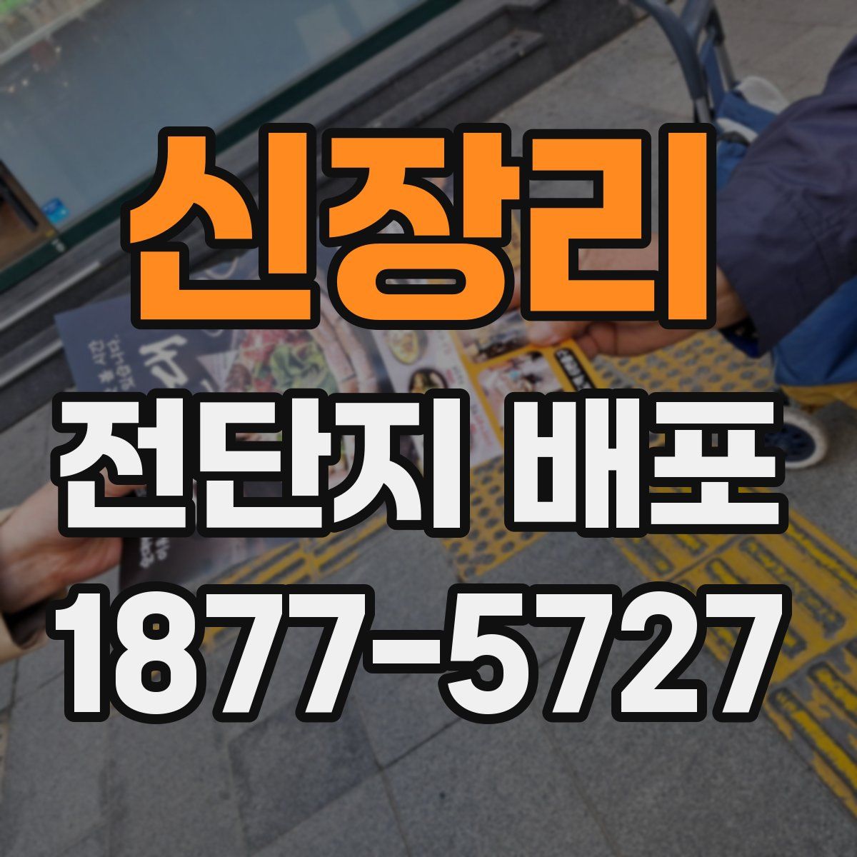 신장리 전단지 배포