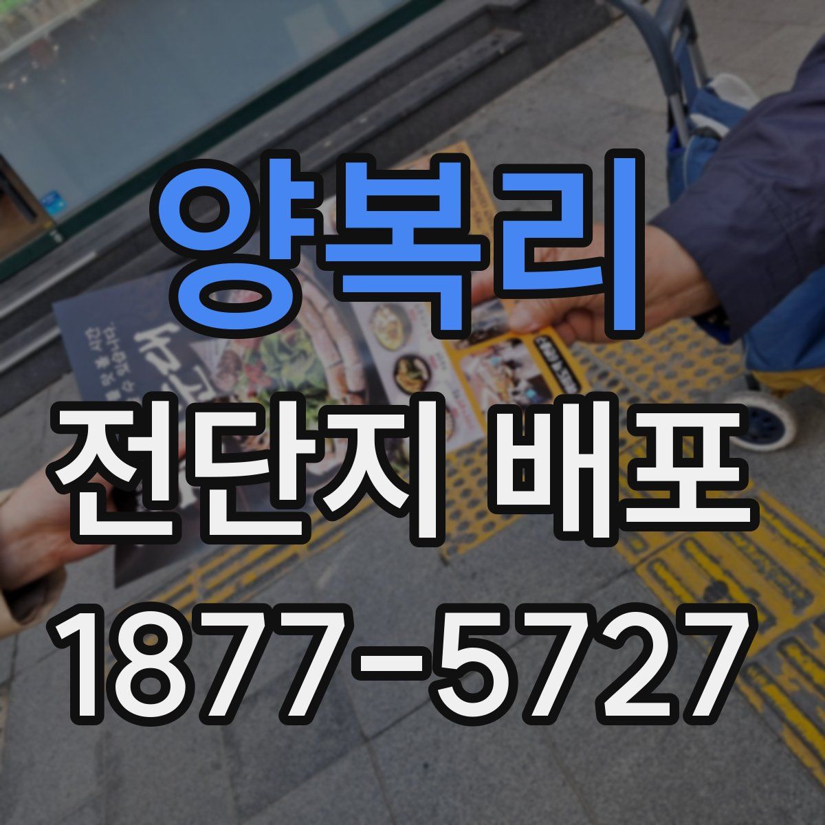 양복리 전단지 배포