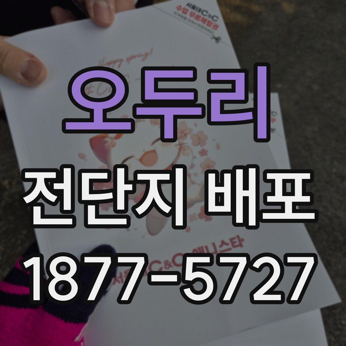 오두리 전단지 배포