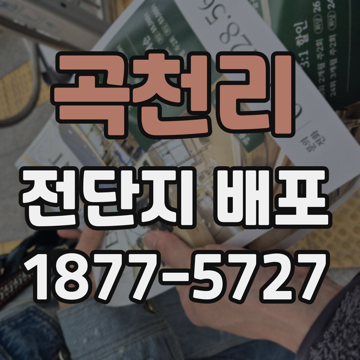 곡천리 전단지 배포