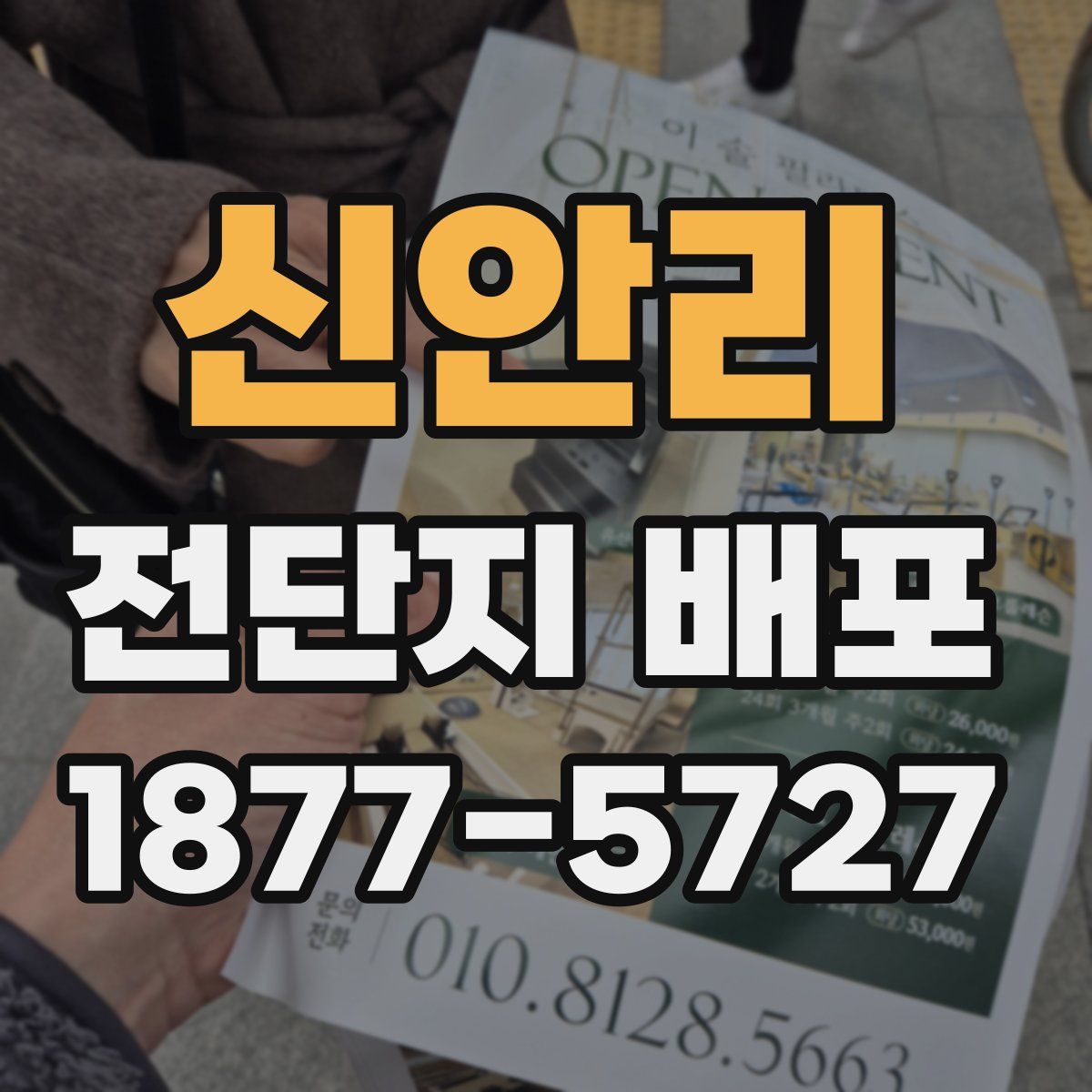 신안리 전단지 배포