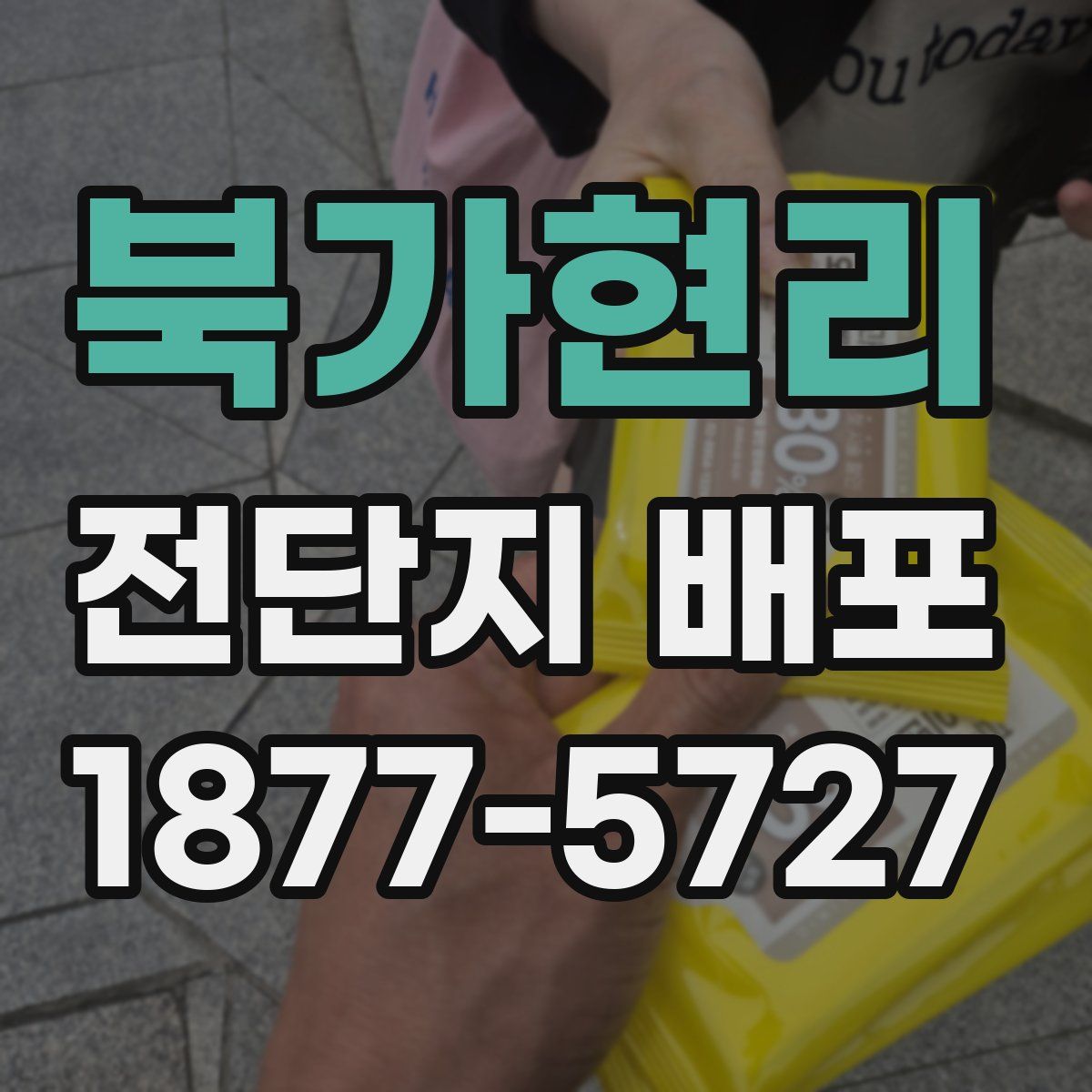 북가현리 전단지 배포
