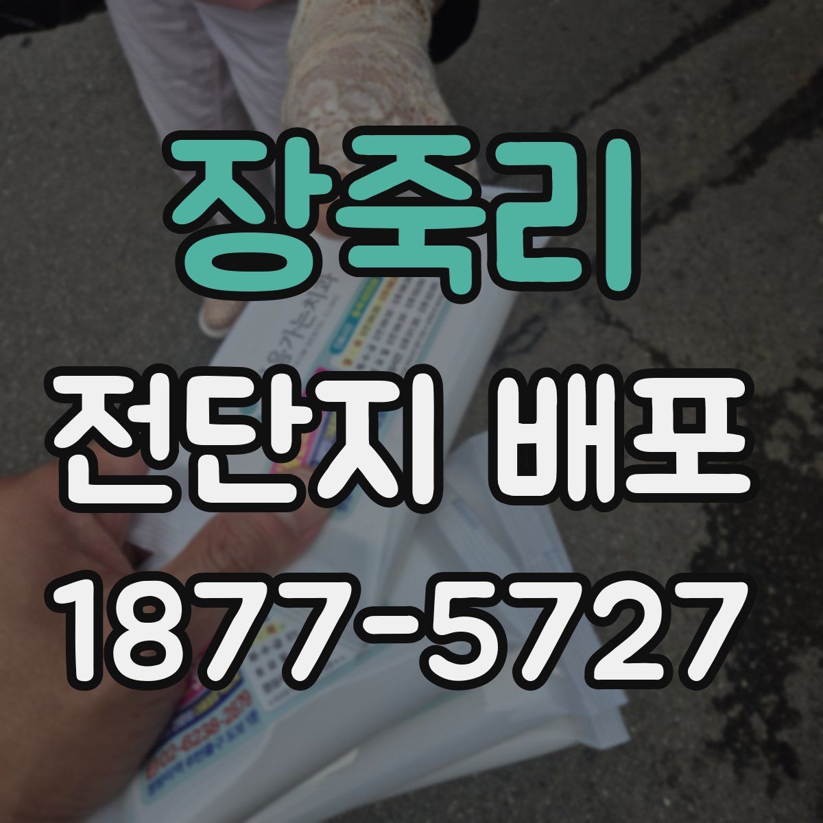 장죽리 전단지 배포