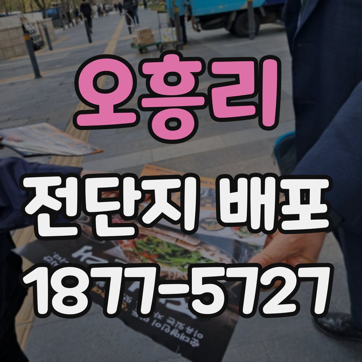 오흥리 전단지 배포